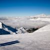 IMG_1456.jpg
