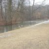 Munich_Engl_Park1.JPG