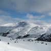 IMG_3491.JPG