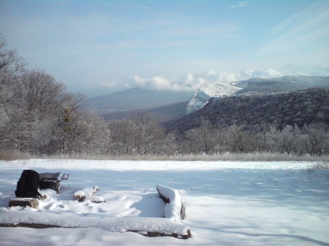 DSC00013.JPG