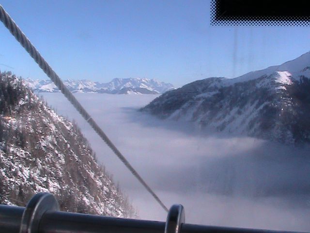 IMG_2559.JPG