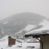 IMG_6583.JPG