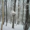 DSC00046.JPG