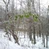 DSC00022.JPG