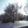 DSC00010.JPG