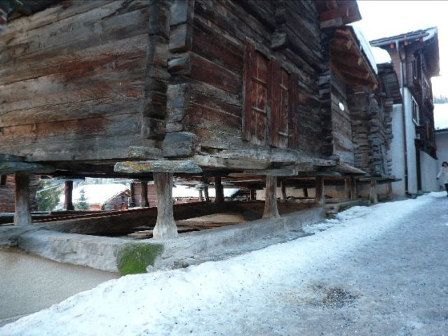 Resized P1050894.jpg