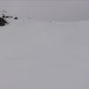 Resized DSC00054.jpg