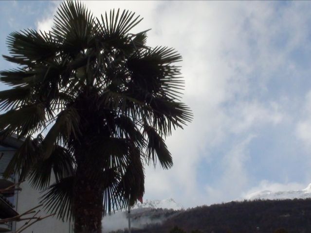 Resized DSC00128.jpg