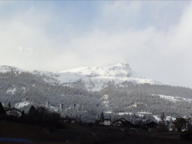 Resized DSC00130.jpg