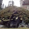 Resized DSC00110.jpg