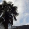Resized DSC00128.jpg