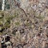 Resized DSC00114.jpg