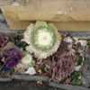 Resized DSC00104.jpg