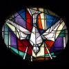 Resized DSC04336.jpg