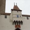 Resized DSC00245.jpg