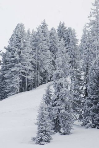 x_952b18a2.jpg