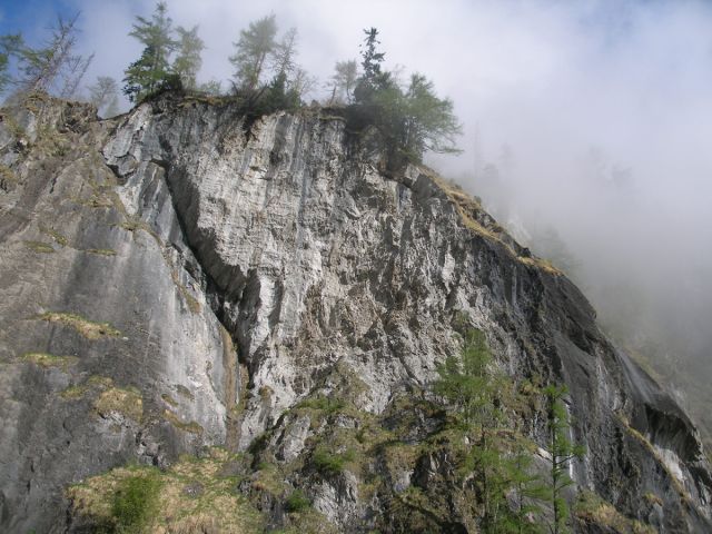 P5090827.jpg