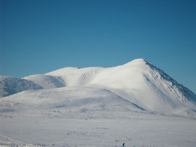 Черная
