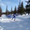 DSC04762.JPG