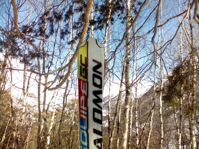 Photo-0126.jpg