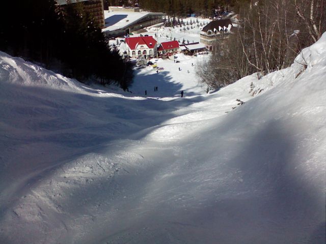Photo-0133.jpg