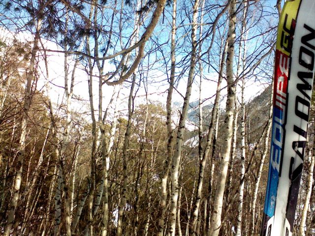 Photo-0125.jpg
