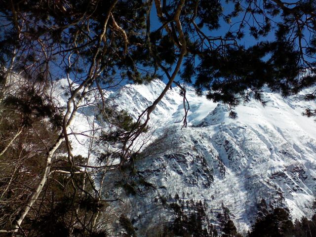Photo-0124.jpg