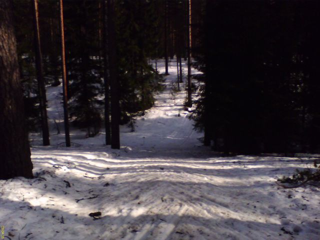 DC100403001.jpg