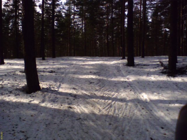 DC100403002.jpg