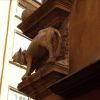 Resized DSC04354.jpg