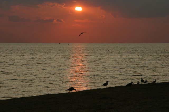 13CRW_3581.jpg