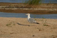 10CRW_3581.jpg