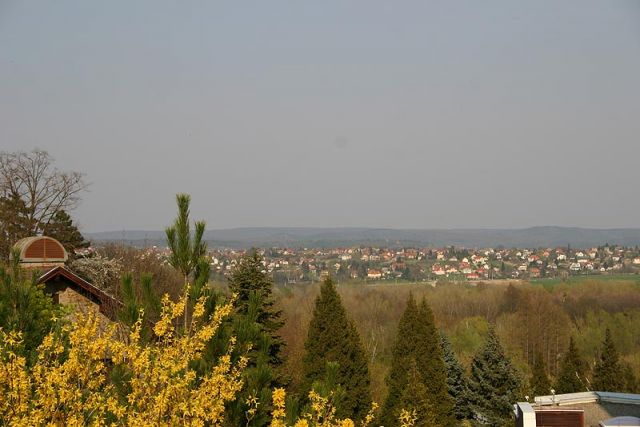 Heviz_6.jpg