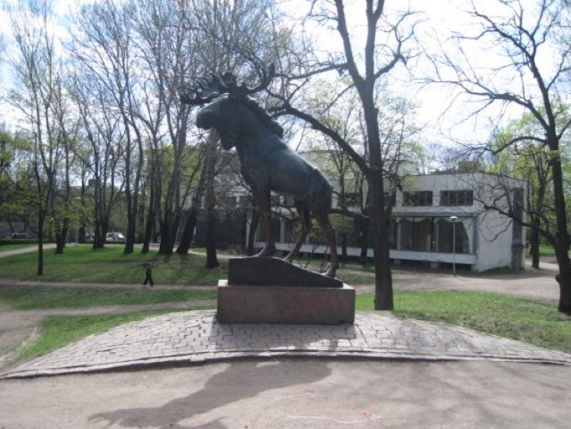 Resized IMG_0056.jpg