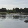 Resized DSC05061.jpg