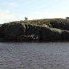 Resized DSC05087.jpg