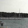 Resized DSC05027.jpg