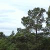 Resized DSC04931.jpg