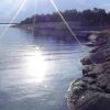 Resized DSC04869.jpg