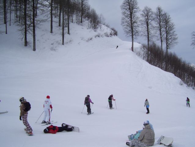 Альпика