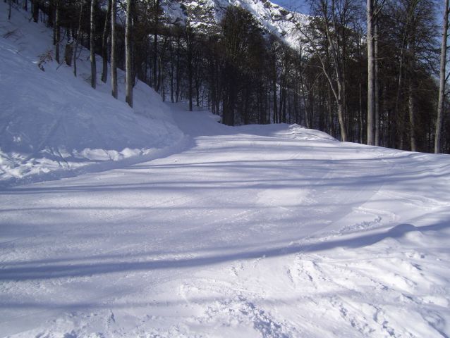100_1291.jpg