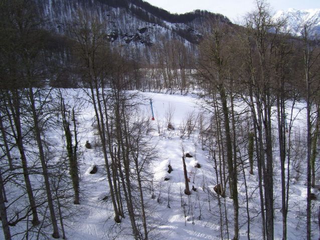 100_1314.jpg