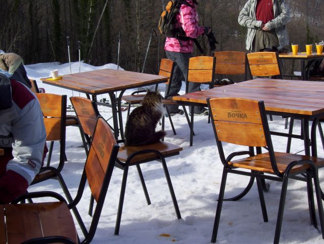 100_1303.jpg