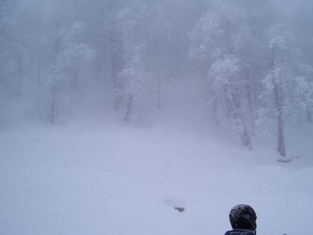 100_1341.jpg