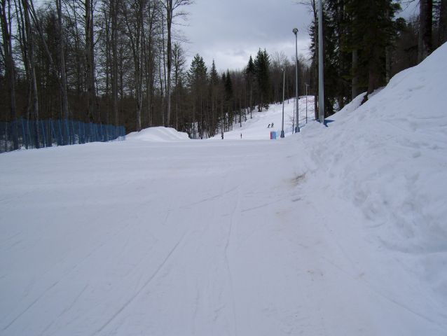 100_1321.jpg