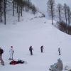 Альпика