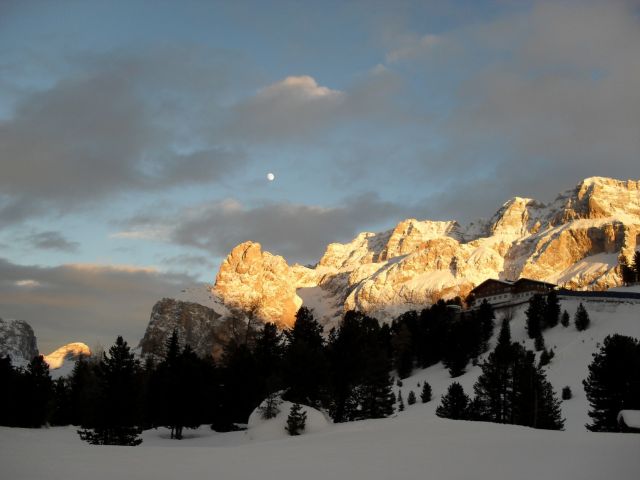 SDC10108.JPG