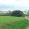 Resized DSC05913.jpg