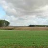 Resized DSC06102.jpg