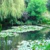 Resized DSC06017.jpg